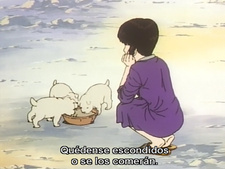 Midori: Shoujo Tsubaki